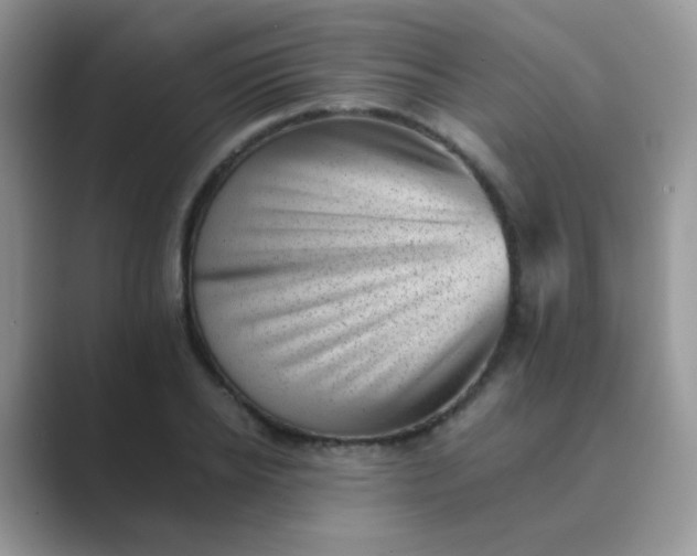 X0000089710934200707051659