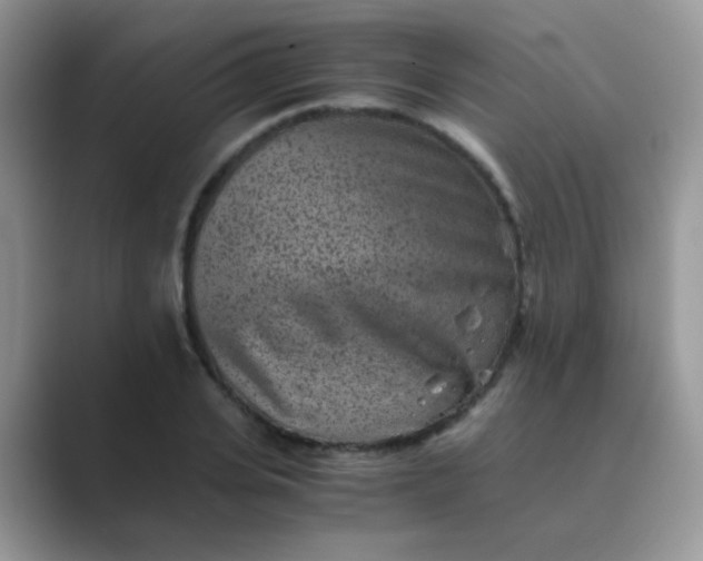 X0000089710935200707051659