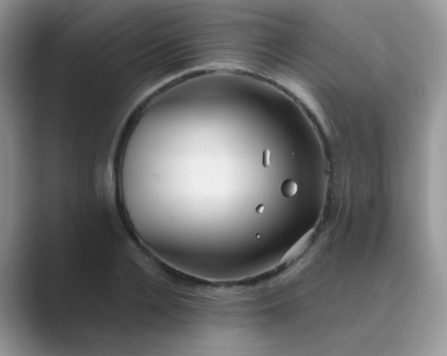 X0000089710936200707051659