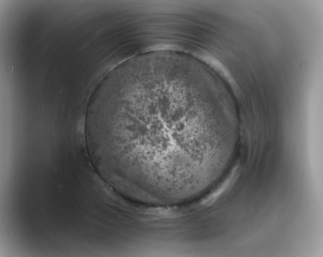 X0000089710937200707051659