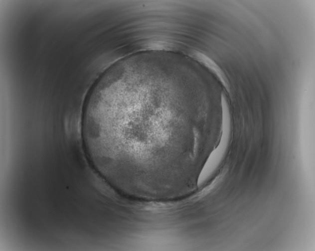 X0000089710938200707051659