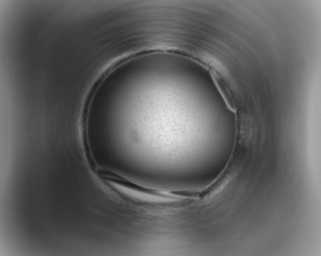 X0000089710942200707051659