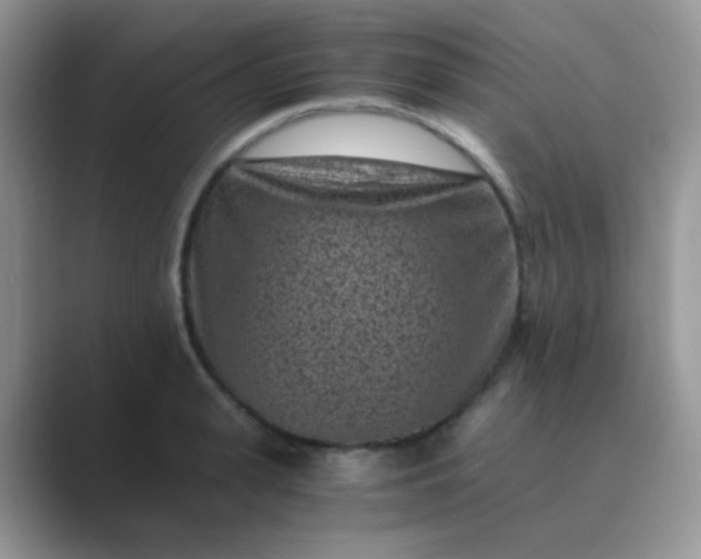 X0000089710943200707051659