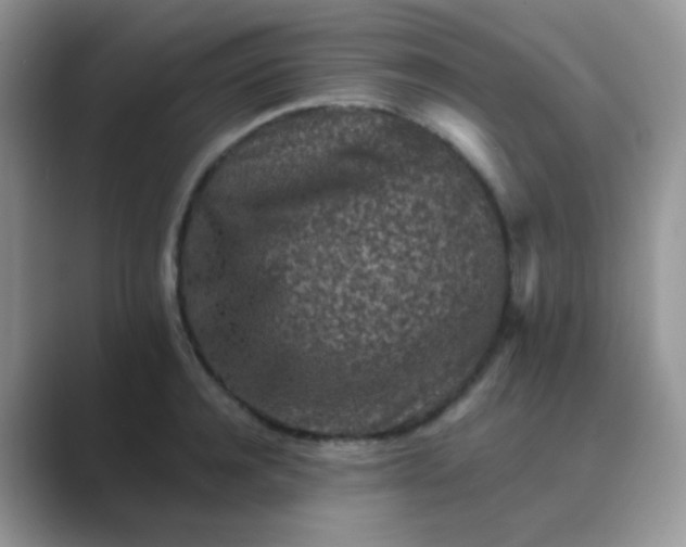 X0000089710944200707051659