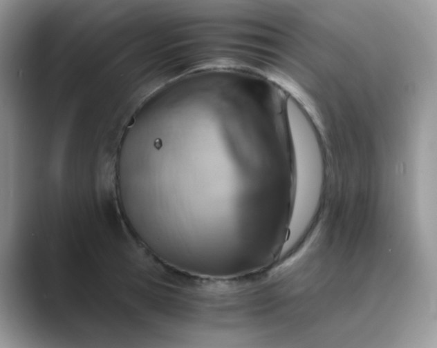 X0000089710945200707051659