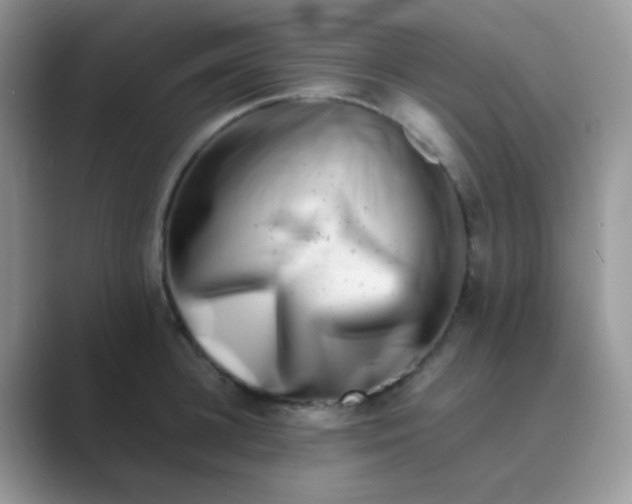 X0000089710948200707051659