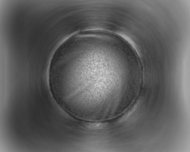 X0000089710949200707051659