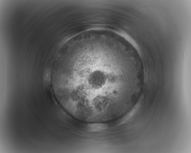 X0000089710953200707051659