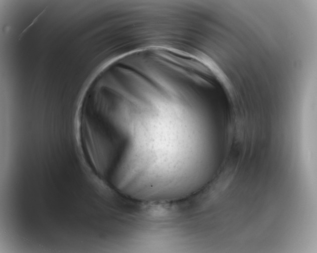 X0000089710955200707051659