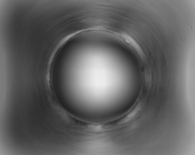 X0000089710956200707051659