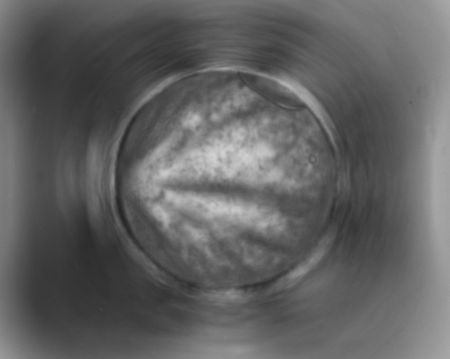 X0000089710957200707051659