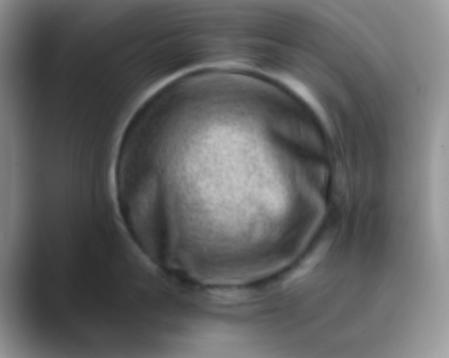 X0000089710959200707051659