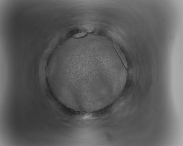 X0000089710961200707051659