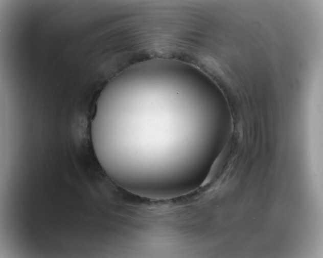 X0000089710964200707051659