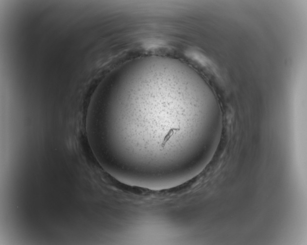 X0000089710965200707051659