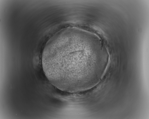 X0000089710966200707051659