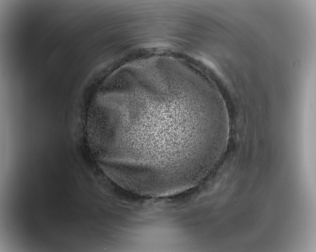 X0000089710967200707051658