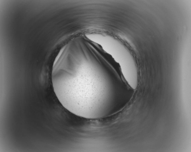 X0000089710968200707051658