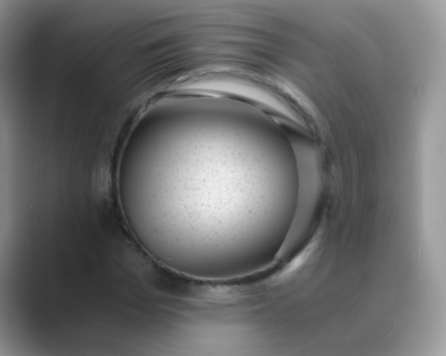 X0000089710969200707051658