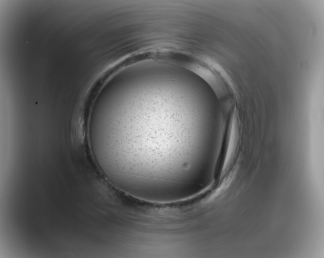 X0000089710973200707051658