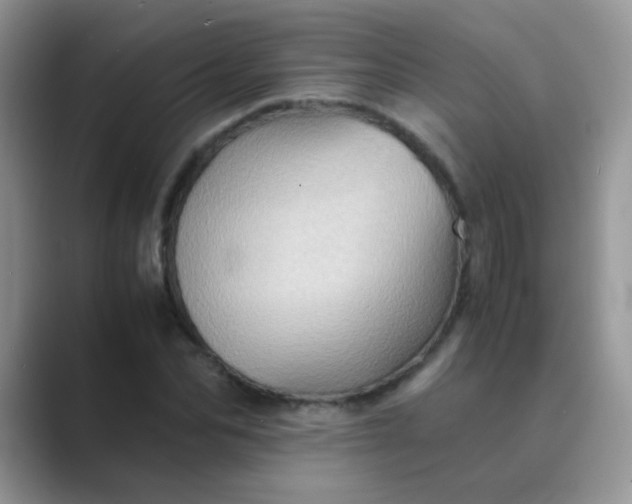 X0000089710974200707051658