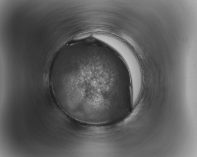 X0000089710977200707051658