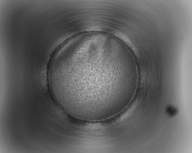 X0000089710978200707051658