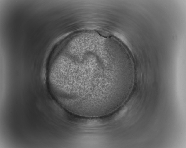 X0000089710979200707051658