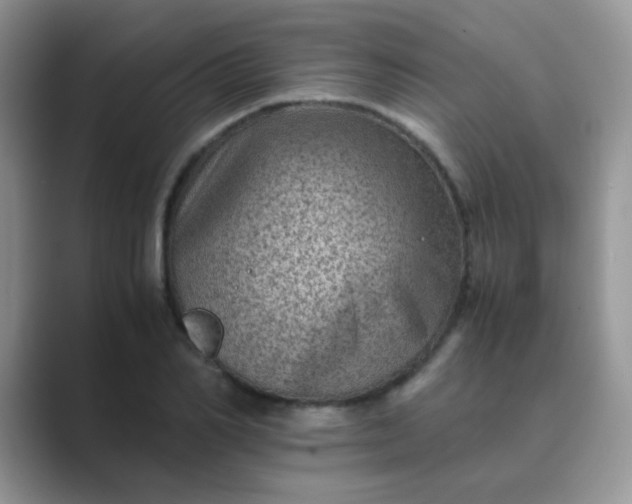 X0000089710982200707051658