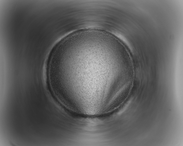 X0000089710983200707051658