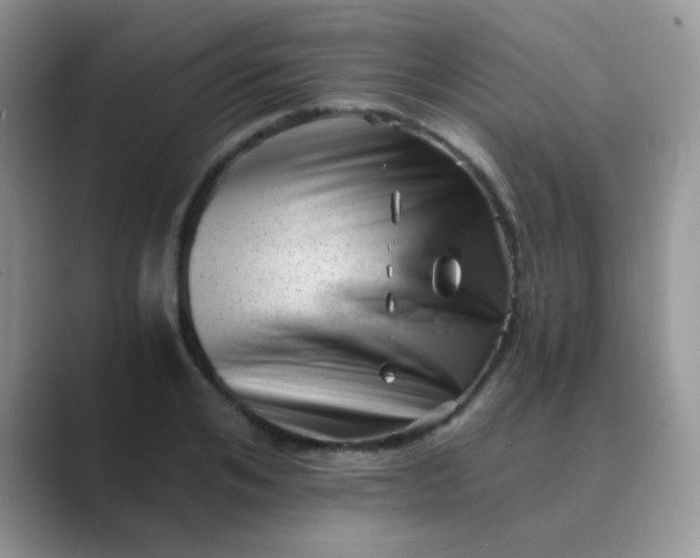 X0000089710984200707051658