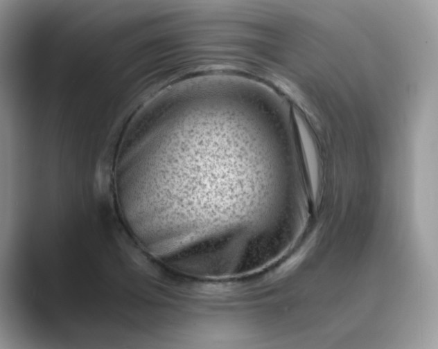 X0000089710985200707051658