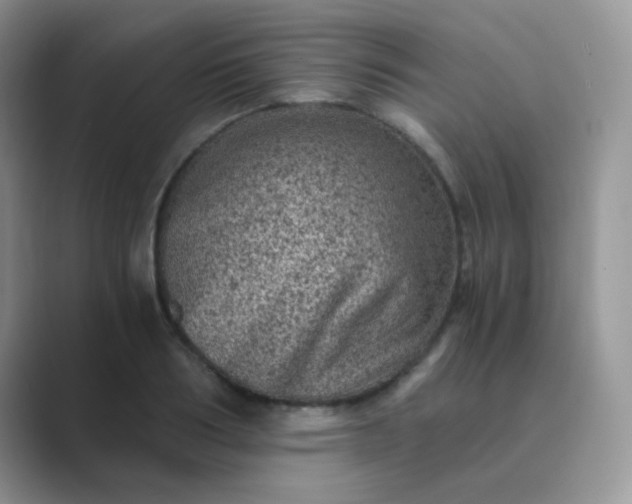 X0000089710986200707051658