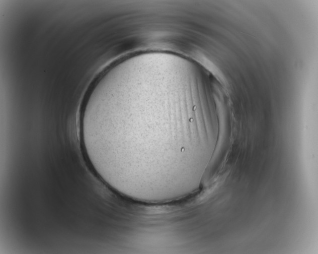 X0000089710988200707051658