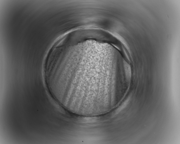 X0000089710989200707051658