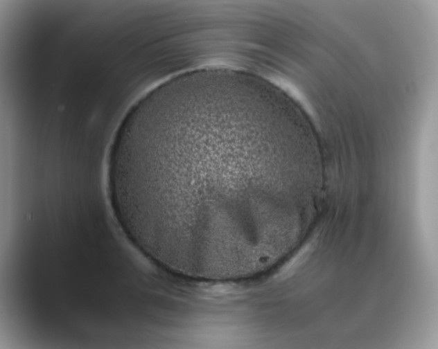 X0000089710991200707051658