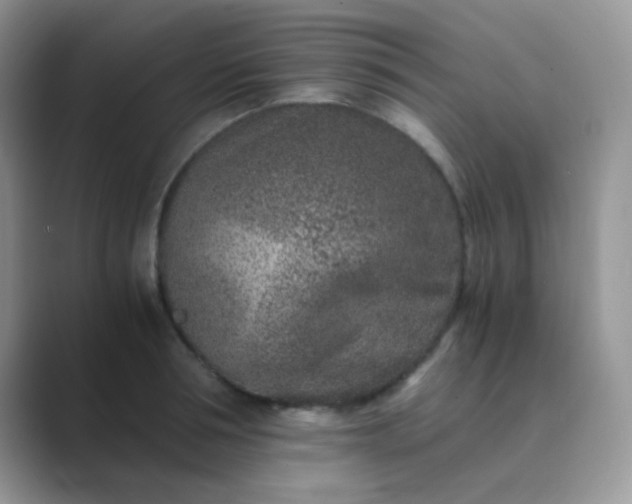 X0000089710994200707051658