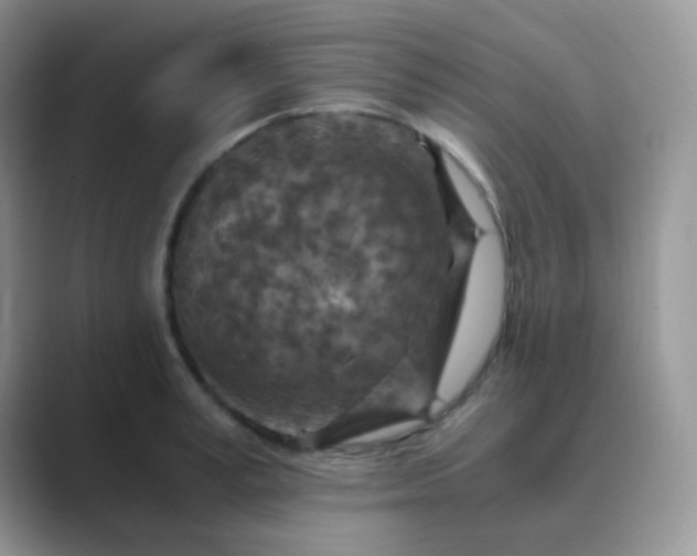 X0000089710995200707051658