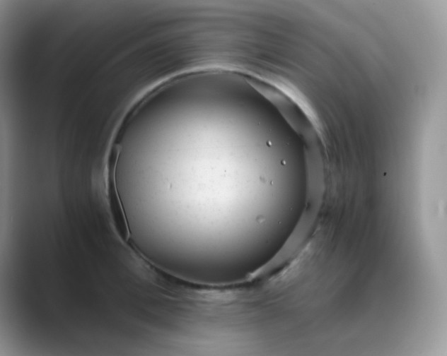 X0000089710996200707051658