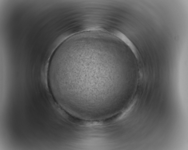 X0000089711002200707051658