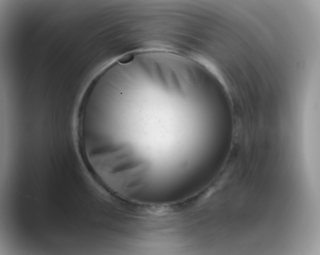 X0000089711003200707051658