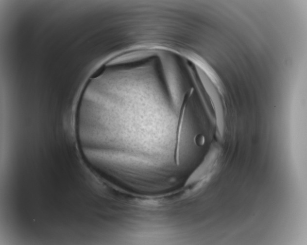 X0000089711004200707051658