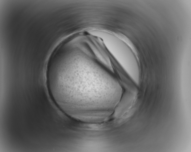 X0000089711005200707051658