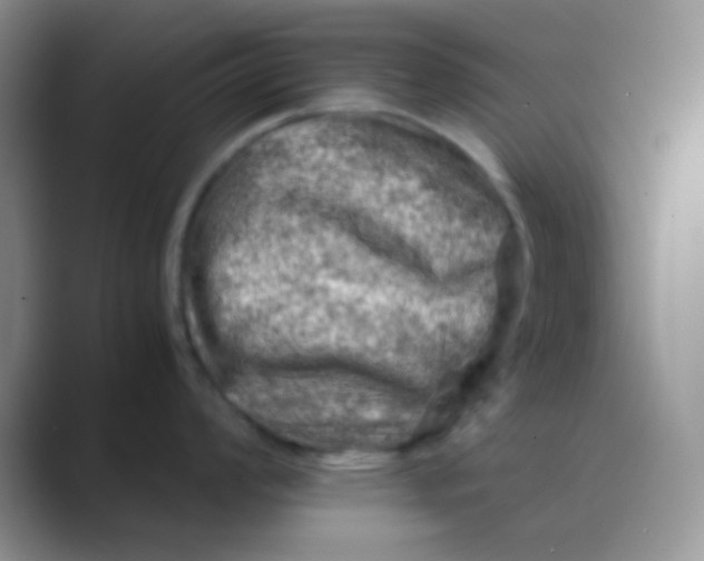 X0000089711008200707051658