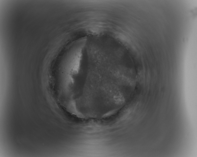 X0000089711009200707051657