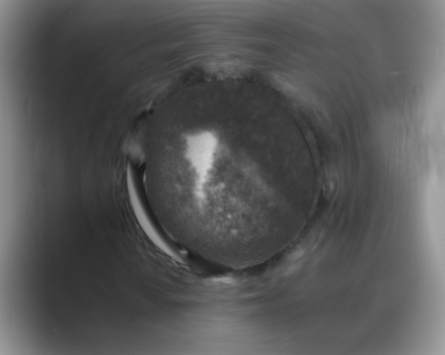 X0000089711010200707051657