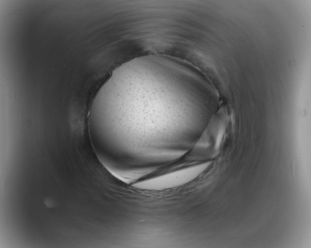 X0000089711012200707051657