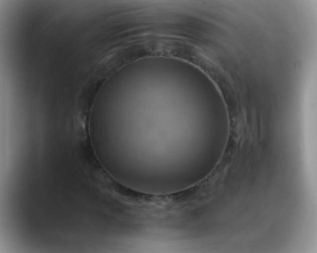 X0000089711013200707051657