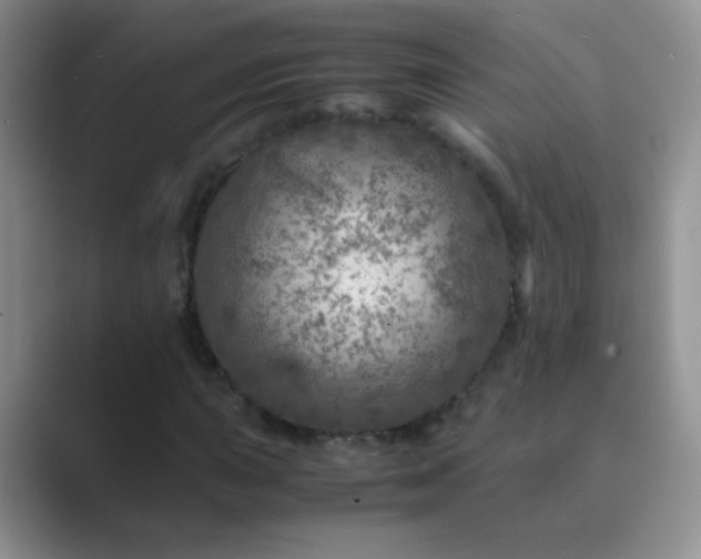 X0000089711015200707051658