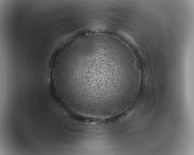 X0000089711016200707051658